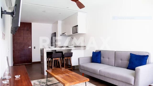 DEPA B 201 PLUNGE 1 BR 1 Bath