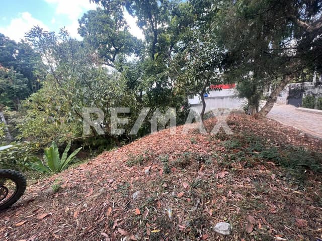 Terreno en Venta 