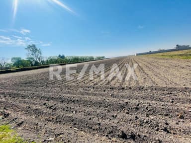 property image preview1