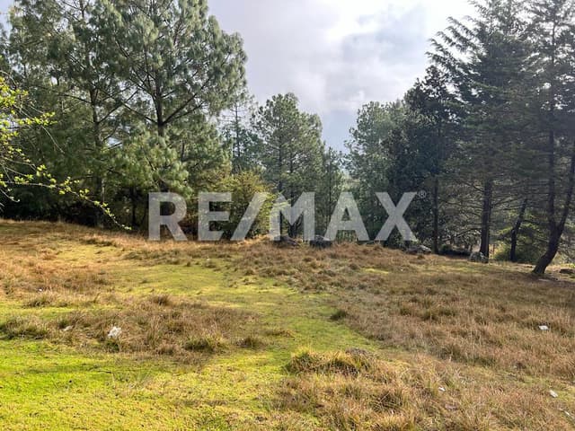 Terreno en venta en Los Alcanfores en San Cristóbal de Las Casas