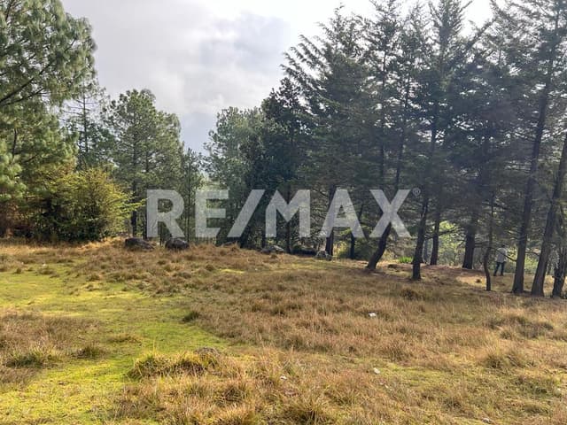 Terreno en venta en Los Alcanfores en San Cristóbal de Las Casas