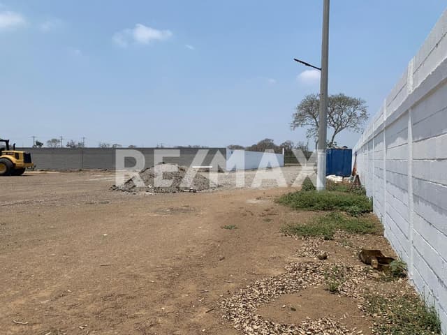 Terreno en Renta Ejido Ricardo Flores Magon