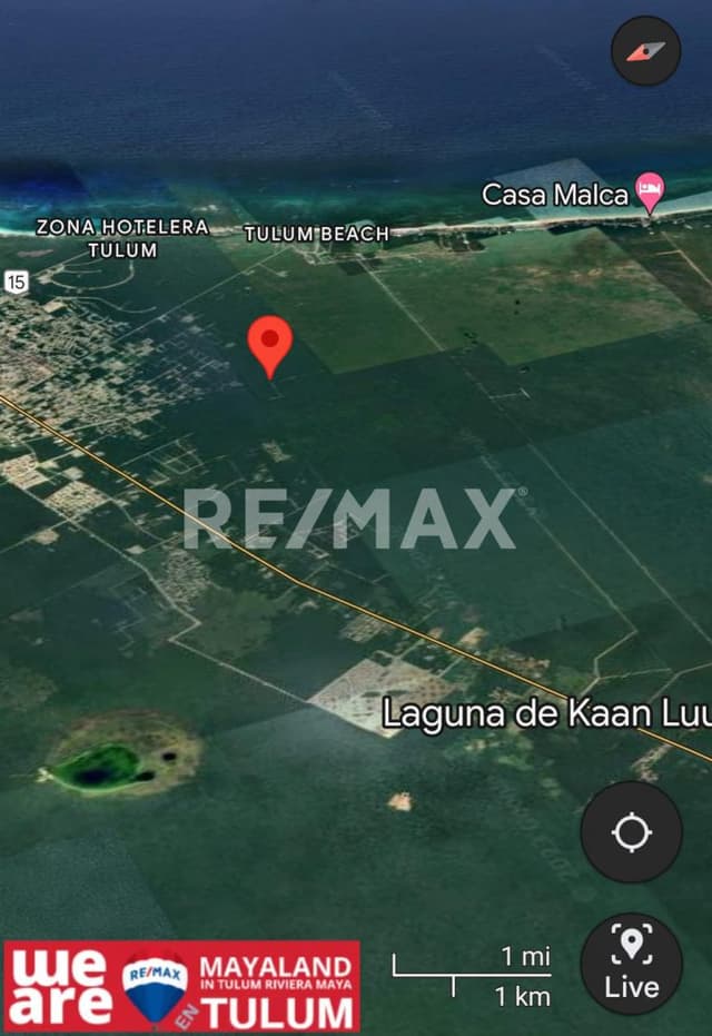 REMATE DE TERRENO EN LA REGION 8 MANZANA 529 EN TULUM