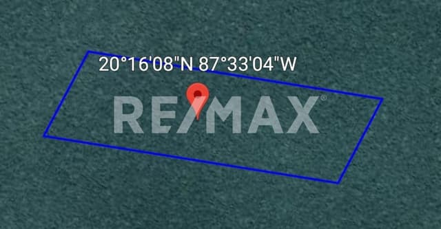 Se vende terreno 6 hectáreas (60,000 m2) en el ejido número 10 del municipio de Tulum