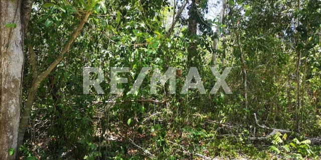 EN VENTA TERRENO UBICADO EN MACARIO GÓMEZ, TULUM