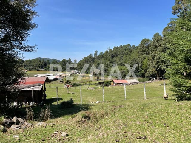 Terreno en Venta 