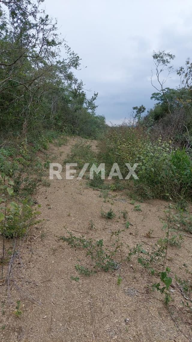 TERRENO CAMPESTRE EN RANCHO GRANDE ALLENDE Nuevo León