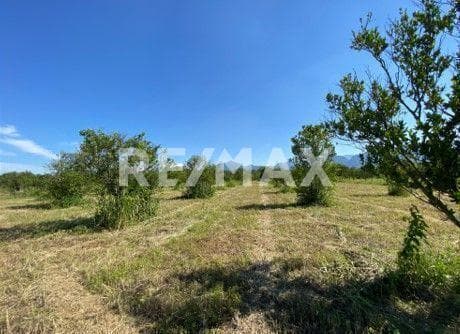 Venta terreno campestre de 3,249m2 en C. Calles Montemorelos N.L. México.