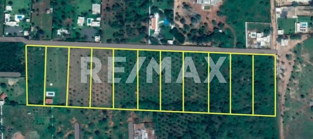 Venta terreno campestre de 3,249m2 en C. Calles Montemorelos N.L. México.