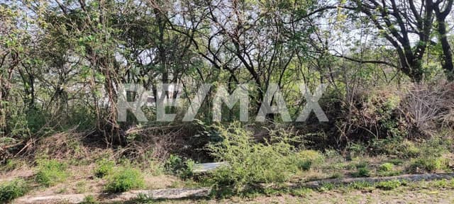 Terreno en Venta en Rancho San Diego, Ixtapan de la Sal 