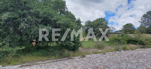 Terreno en Haras en La Joya