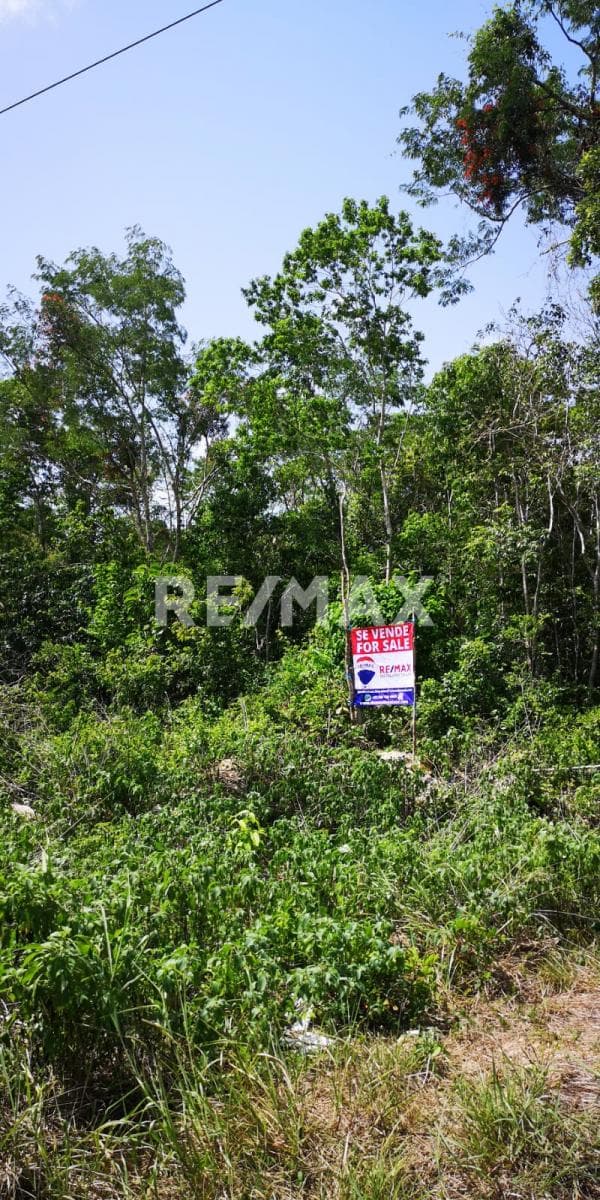LAND FOR SALE AT KM 12 ON THE ROAD SIDE IN MACARIO GÓMEZ.