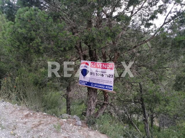 TERRENO CAMPESTRE EN FRACCIONAMIENTO EL PORTAL SAN ANTONIO 