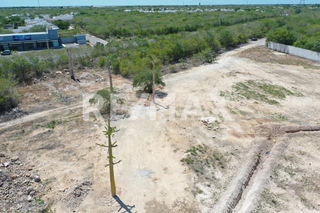 Preventa de lotes residenciales en privada aria en Cholul, Mèrida Yucatán.