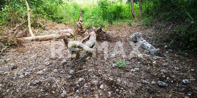 EN VENTA TERRENO DE OPORTUNIDAD EN COBÁ.