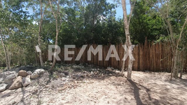 EN VENTA HERMOSOS LOTES EN EL KM 16.