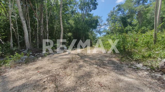 EN VENTA HERMOSOS LOTES EN EL KM 16.