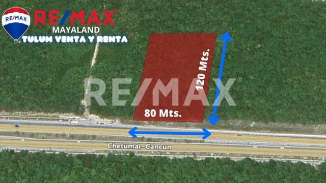 Hectárea con Frente de Carretera a pocos metros de la estación del tren maya en Tulum