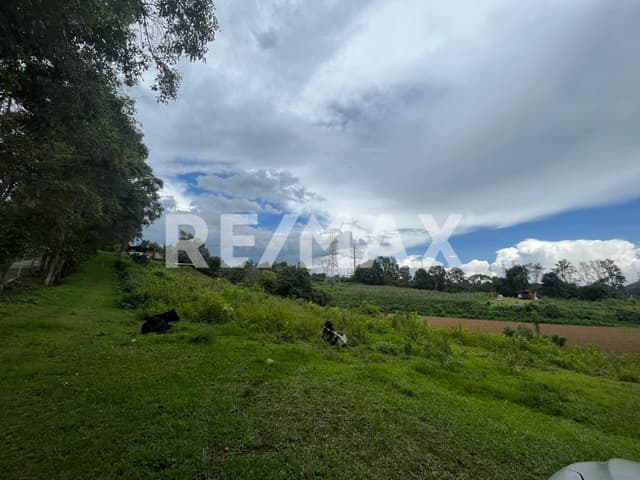 Terreno en Venta