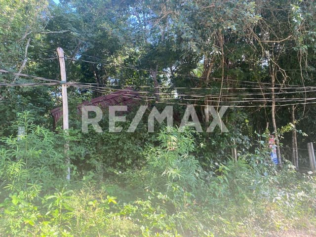 EN VENTA HERMOSO TERRENO TITULADO EN FRANCISCO UH MAY.
