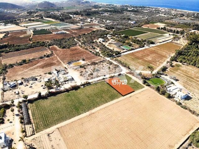 Lote Calla Lily 1075 La Huerta - MLS# 23-961