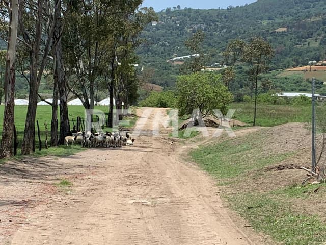 Terreno en Venta Cerca de  Ixtapan de la Sal
