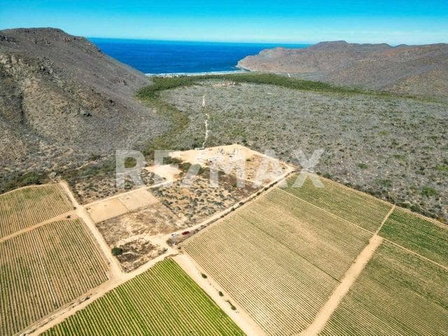 Close To Palm Beach #70 Pescadero - MLS# 23-1222