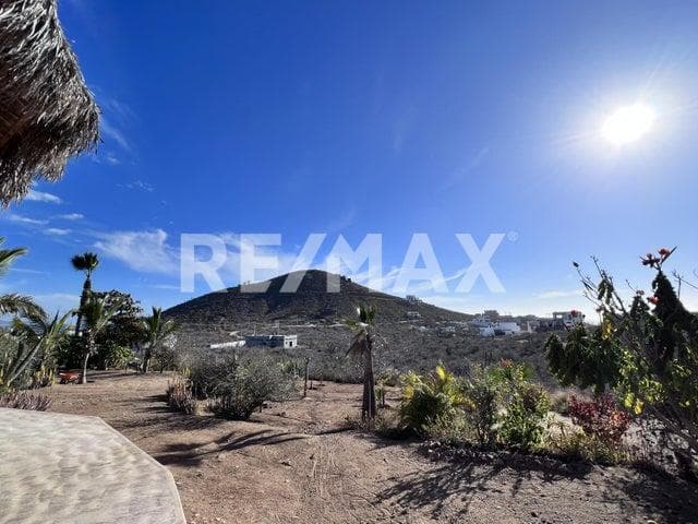 Pacific Oasis, Pacific - MLS# 23-2794