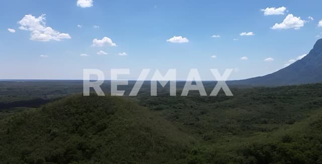 40 Hectáreas en Venta, Montemorelos Nuevo León, México. 