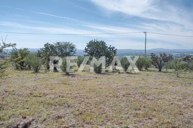 Lote Ceacatl TEMAZCALLIS 2