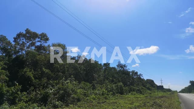 ATENCIÓN INVERSIONISTA: EN VENTA TERRENO DE 10 HECTARIAS ESCRITURADO EN FRANCISCO UH MAY.