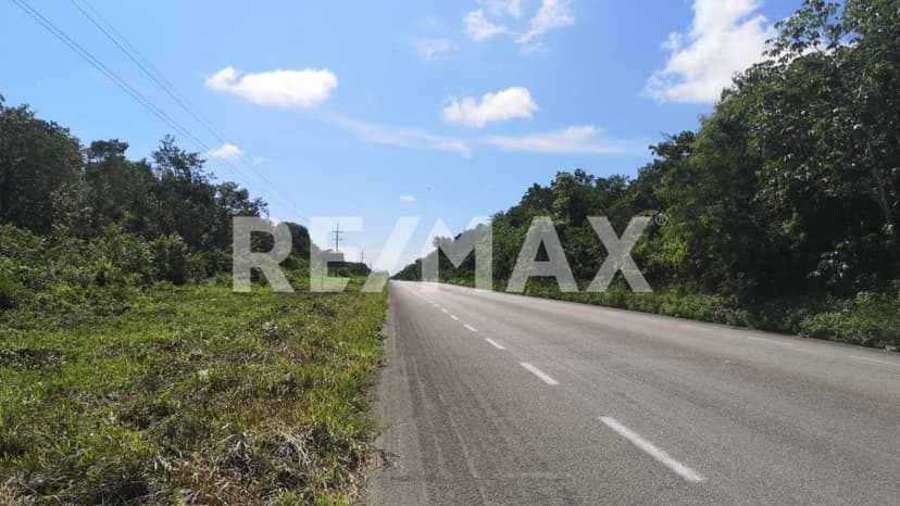 UNIQUE OPPORTUNITY: ATTENTION INVESTORS FOR SALE 10 HECTARE LAND WITH TITLE DEED IN FRANCISCO UH MAY.