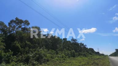 property image preview0