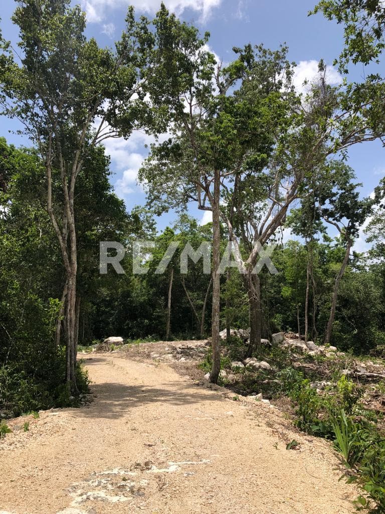 EN VENTA HERMOSO TERRENO UBICADO EN EL KM 16.6. ¡NO TE PIERDAS ESTA OPORTUNIDAD UNICA!