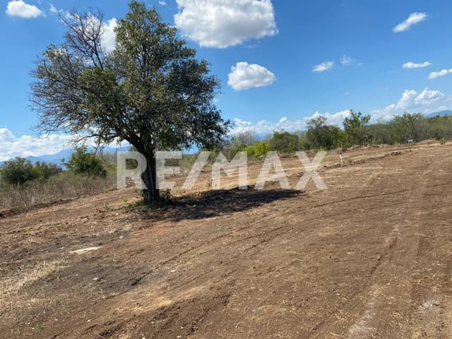 Venta Terrenos Campestes dentro de fraccionamiento privado en Montemorelos Nuevo León, México