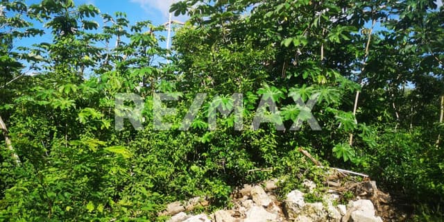 TERRENO TITULADO EN VENTA, CAMINO BLANCO, FRANCISCO UH MAY, TULUM.