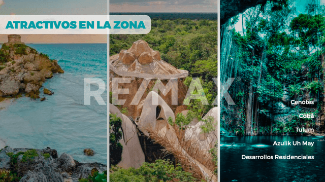 20 HECTAREAS EN VENTA KM 10 CARRETERA TULUM- COBA $300 PESOS M2 