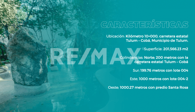 20 HECTAREAS EN VENTA KM 10 CARRETERA TULUM- COBA $300 PESOS M2 