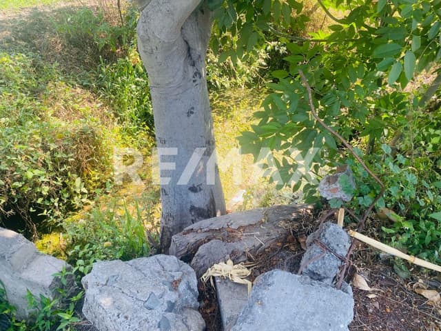 Terreno en venta en Atlixco $5,000,000 