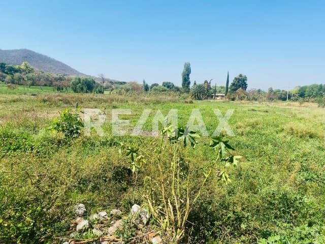 Terreno en venta en Atlixco $5,000,000 