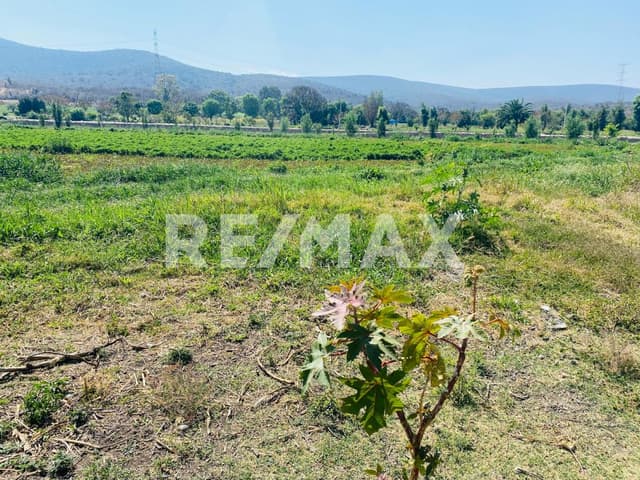 Terreno en venta en Atlixco $5,000,000 