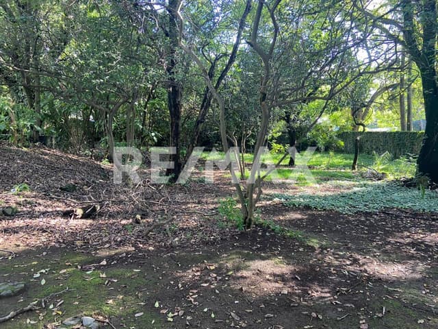 CASA EN VENTA PARA REMODELAR, EN CUERNAVACA, MORELOS  SANTA MARIA AHUACATITLAN