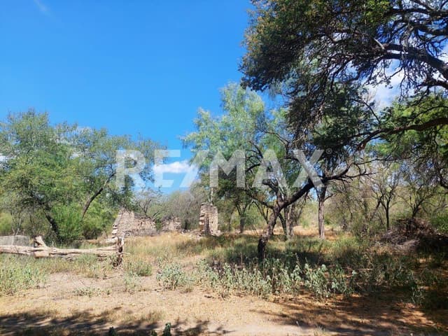 Terreno El Carmen Nuevo Leon con huerta de Nogales 