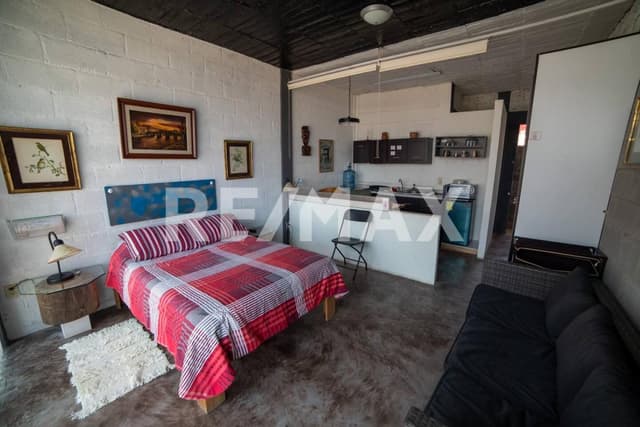 Lofts Alfiles