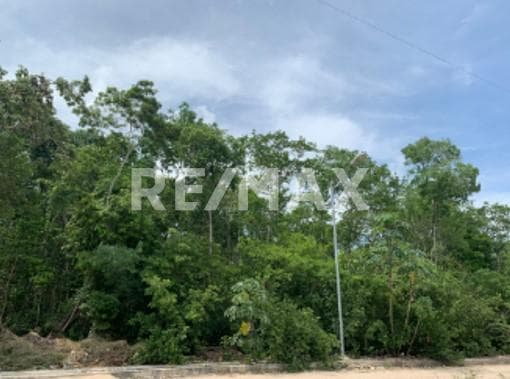 Lote Residencial Cocoloba Tulúm 750 mts2