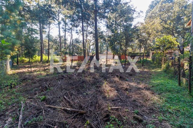 Terreno en Venta