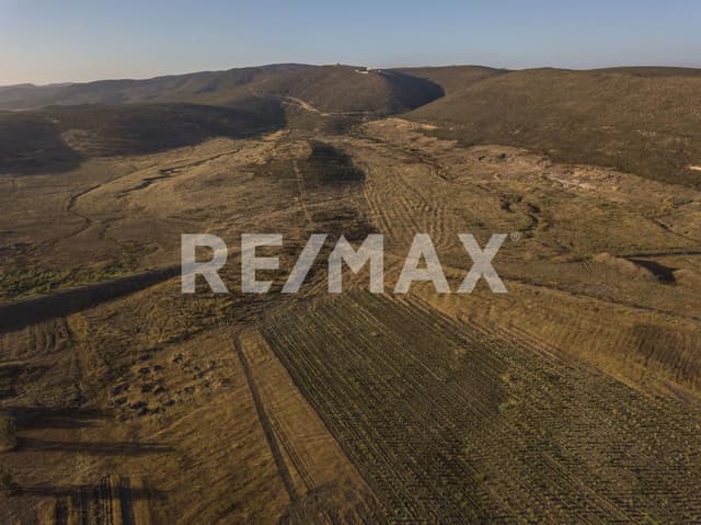 TERRENO PLANO EN VENTA EN NATAL, VALLE DE GUADALUPE, B.C.