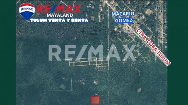 Oportunidad hectárea en Francisco Uh May  