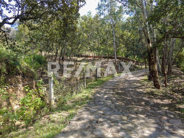 Terreno en Venta