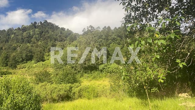 Terreno en Venta 